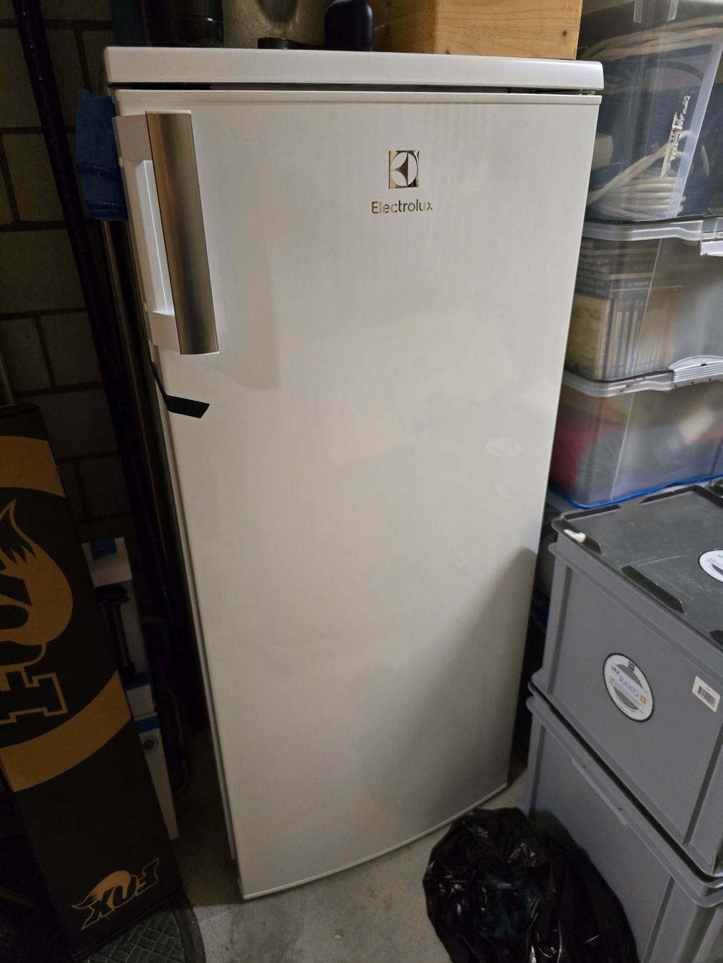 Frigoriferi: Elektrolux Kühlschrank – Usato da Bern venduto da Goldschmied78