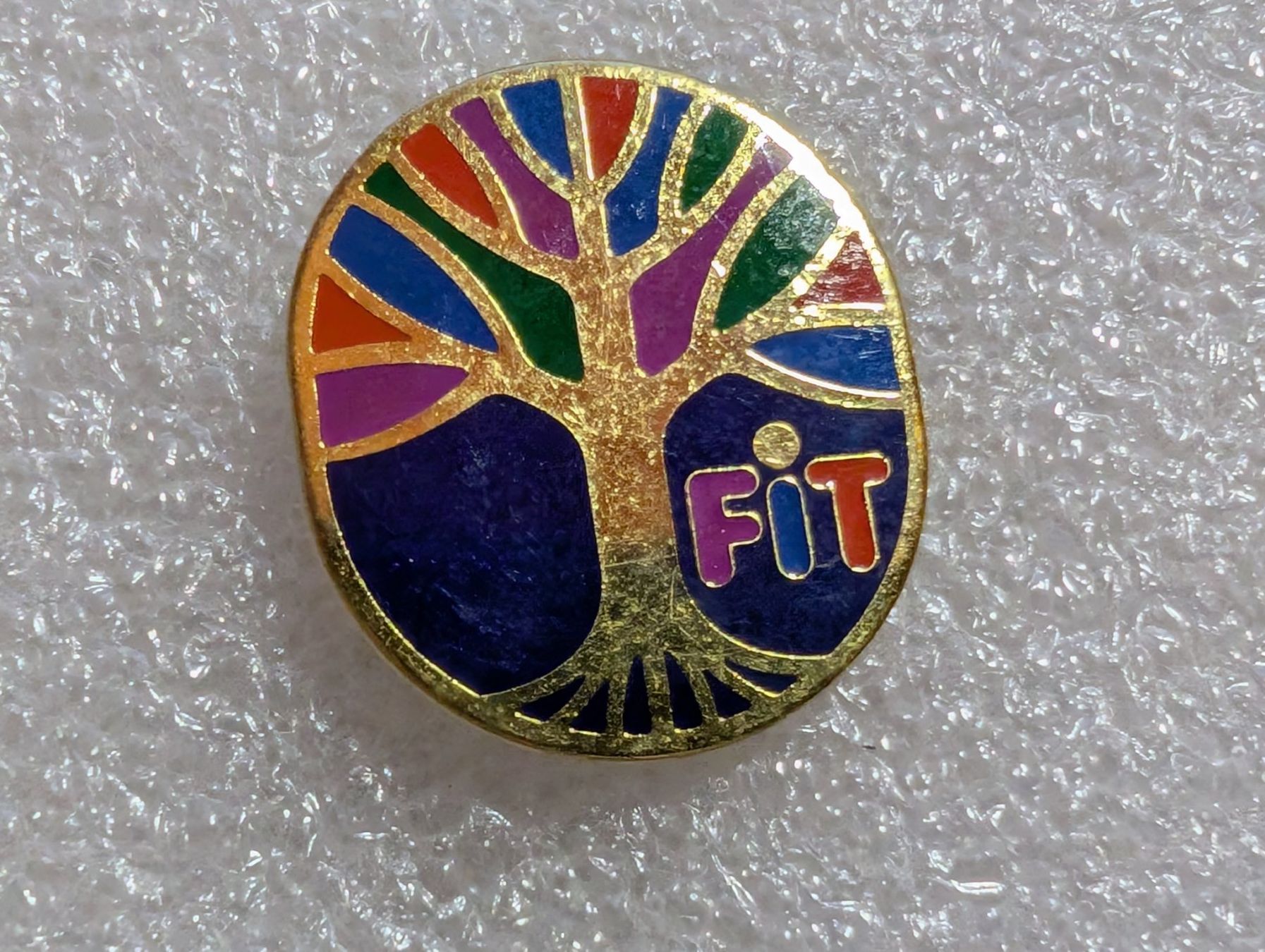 Plaquettes & Badges: Ansteckpin 203: Fit – D'occasion à Oppligen par Pin-Fall-Shop