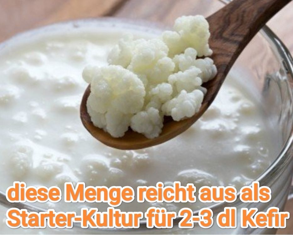 Fabelhafte Kefir Selber Herstellen Ebenbild