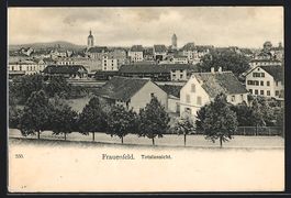 AK Frauenfeld, Totalansicht der Stadt