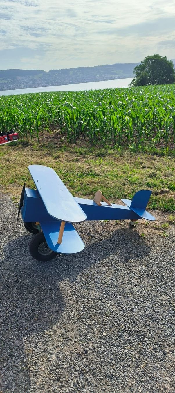 Giocattoli: Holz Modellflugzeug – Usato da Wädenswil venduto da weihpos 3