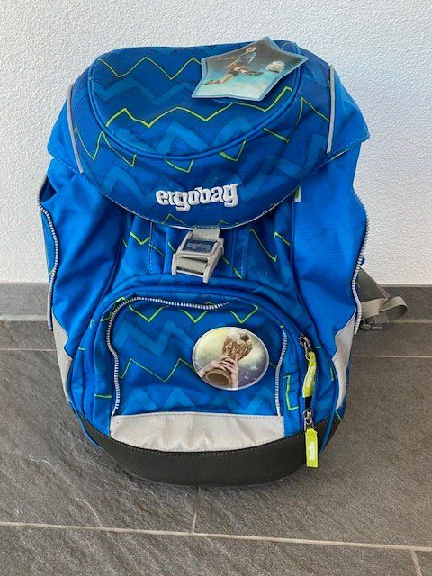 Ergobag Borse & Zaini: Gebrauchter Ergobag Fussball Schulrucksack – Usato da Buttisholz venduto da anhome