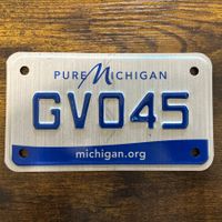 🇺🇸 U.S. Motorradnummer, Michigan GV045 - (18x10cm)