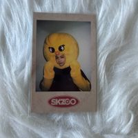 stray kids felix lovestay: skz-x polaroid photocard