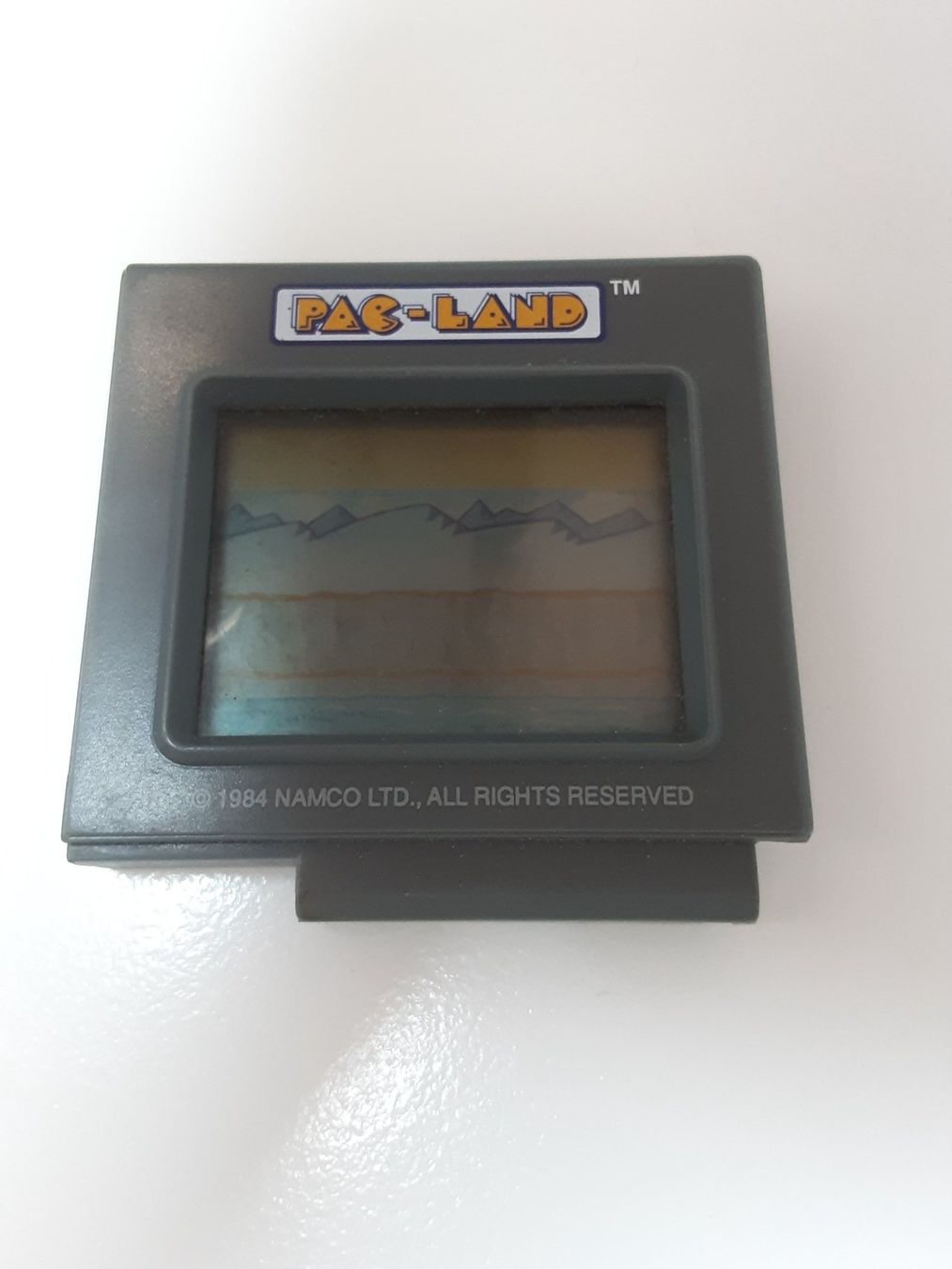 Giochi: PAC LAND – Usato da Ligornetto venduto da Gurzo 1