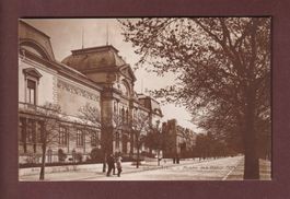 NEUCHÂTEL - Musée des Beaux-Arts - 1919