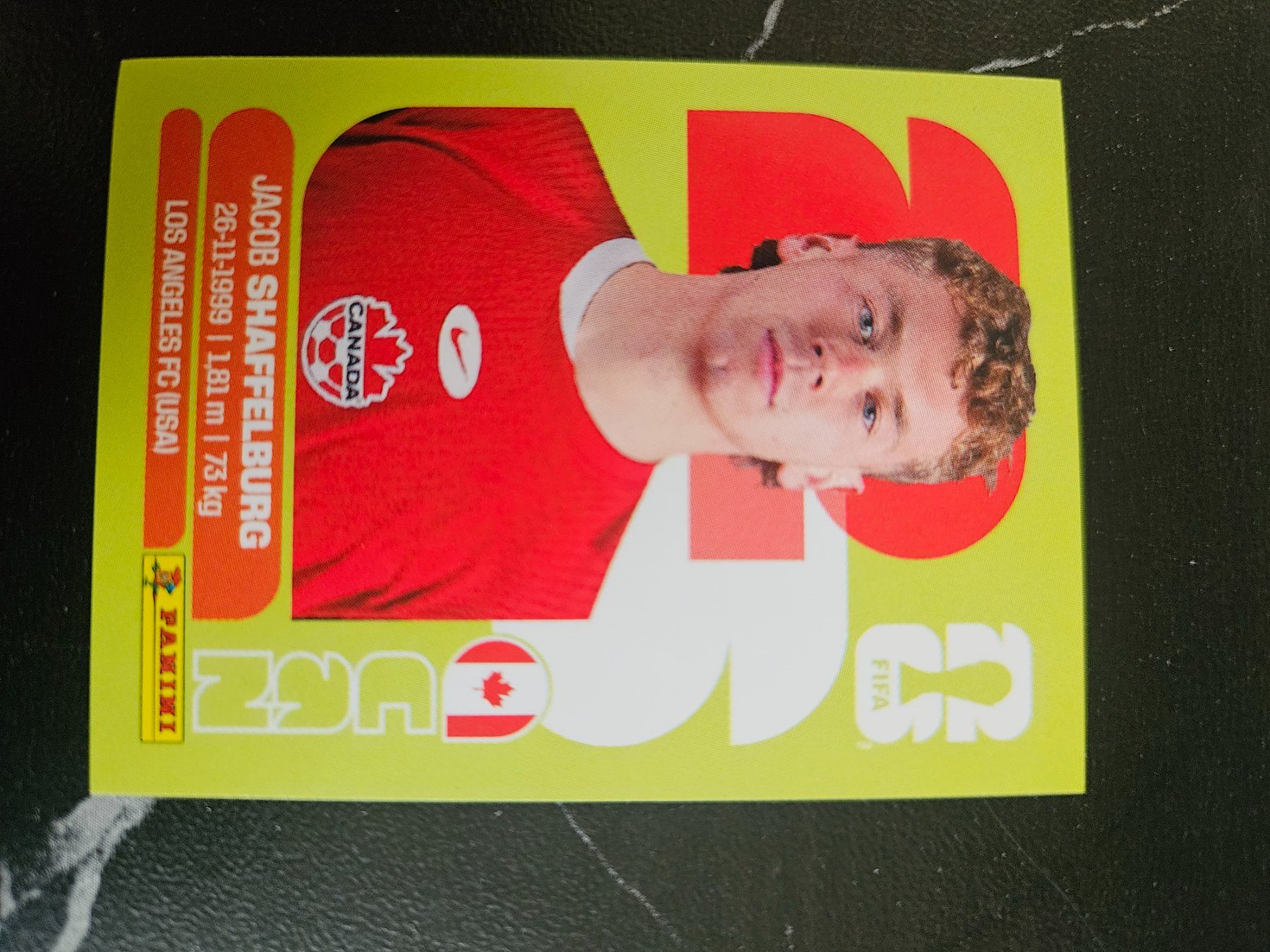 Panini Cartes à collectionner: CAN14 – D'occasion à Würenlingen par Dinli