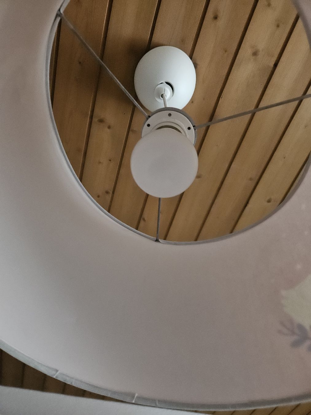 Tende: Set für das Mädchenzimmer – Nuovo (secondo la descrizione) da Härkingen venduto da er_ha62 6
