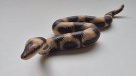 SCHLEICH     🐍🐍🐍     BOA CONSTRICTOR