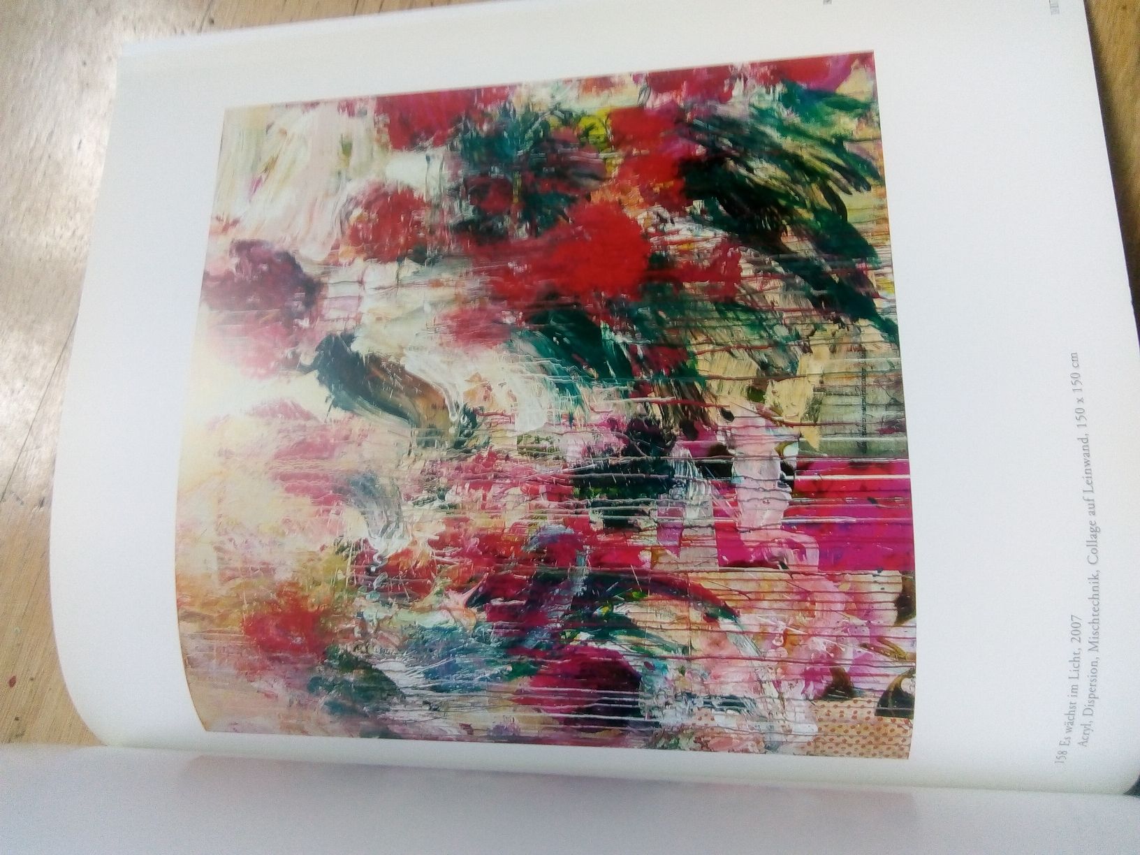 Bücher: Lorenz Spring: Werden-Sein-Vergehen   Kunstbuch  ©'2011 – Gebraucht aus St. Gallen von elk2020 6