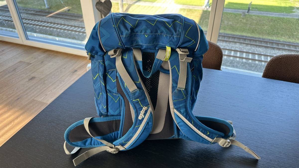 Ergobag Borse & Zaini: Ergobag Schulrucksack - gut erhalten! – Usato da Altendorf venduto da pebi77 2