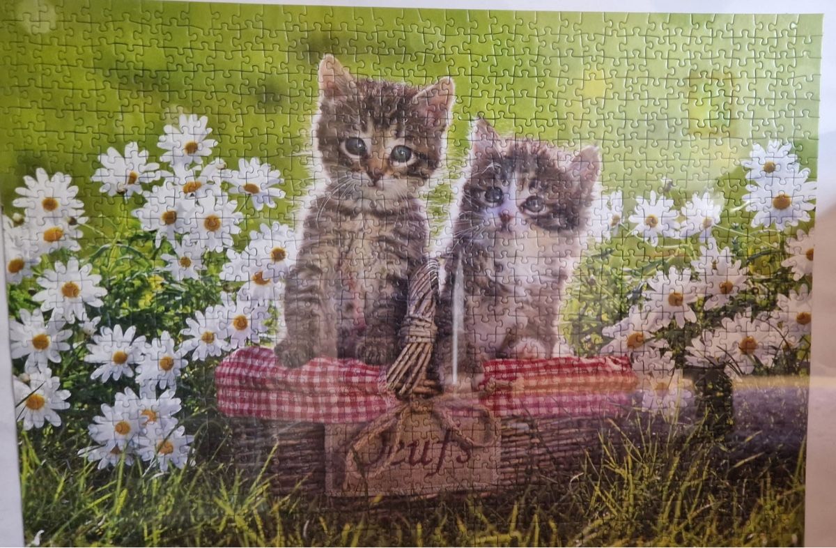 Ravensburger Puzzles: Ravensburger 1000er Puzzle – D'occasion à Waldstatt par dundeeshadow 1