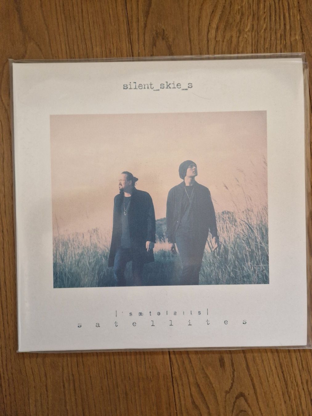 Dischi in vinile: Silent Skies - Satellites LP – Nuovo (secondo la descrizione) da Gurzelen venduto da highwave01