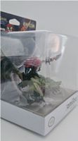 Lioleia & Cheval Amiibo Figur Monster Hunter Stories Nintend