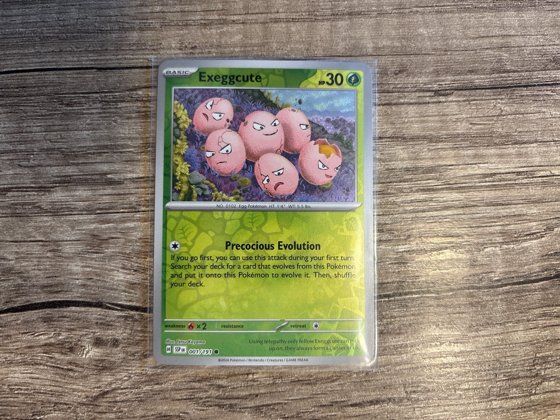 Pokémon Carte collezionabili: Exeggcute SSP EN NM Reverse Holo – Nuovo (secondo la descrizione) da Frutigen venduto da swissTCGworld