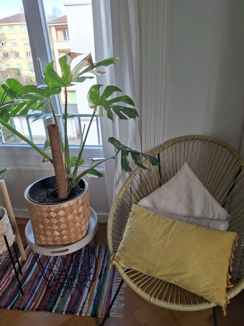 Kissen: Coussin jaune effet velours avec franges  – Gebraucht aus Lausanne von Cognitia