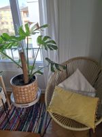 Coussin jaune effet velours avec franges 
