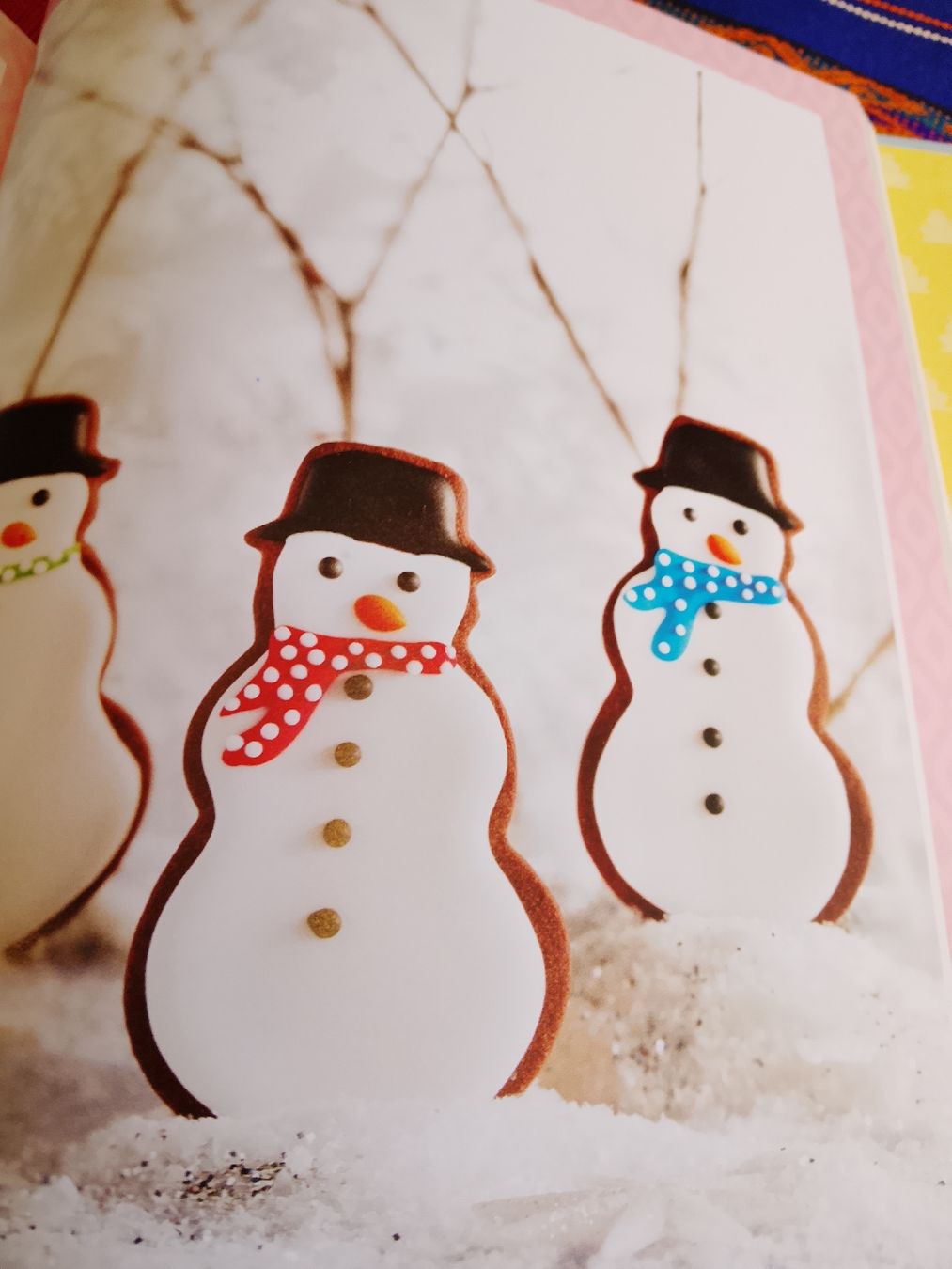 Libri: Funny Cookies – Nuovo (secondo la descrizione) da Volken venduto da katz5 2