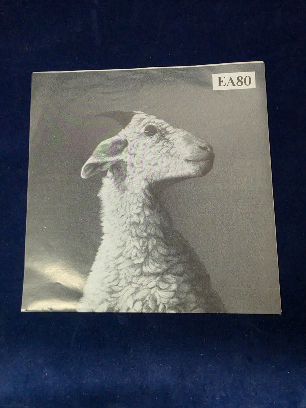 Dischi in vinile: EA80 Dezember Hardrock Singel – Usato da Wald AR venduto da Bwaldy 2