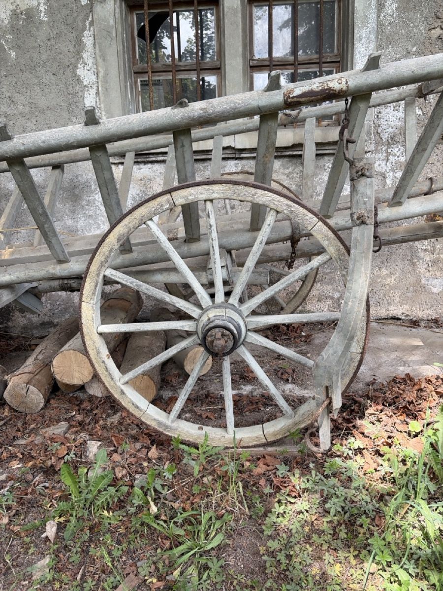 Rimorchi: Holzwagen – Usato da Arisdorf venduto da Lerpi 3