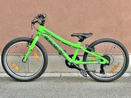 Bergamont Kindervelo 20 Zoll