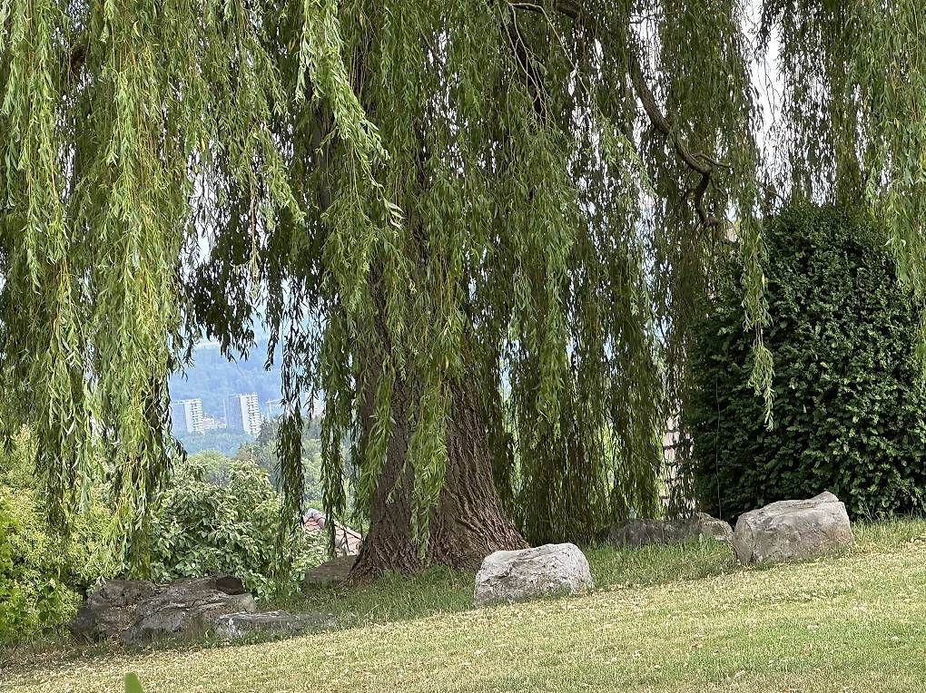 Steine & Dachziegeln: 7schöne Naturstein-Findlinge – Gebraucht aus Uettligen von Maxime_Ehrsam.2020
