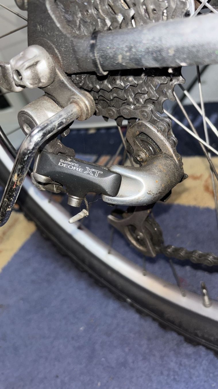 Biciclette: Rocky Mountain Equipe – Usato da Wengen venduto da Bemorg 8