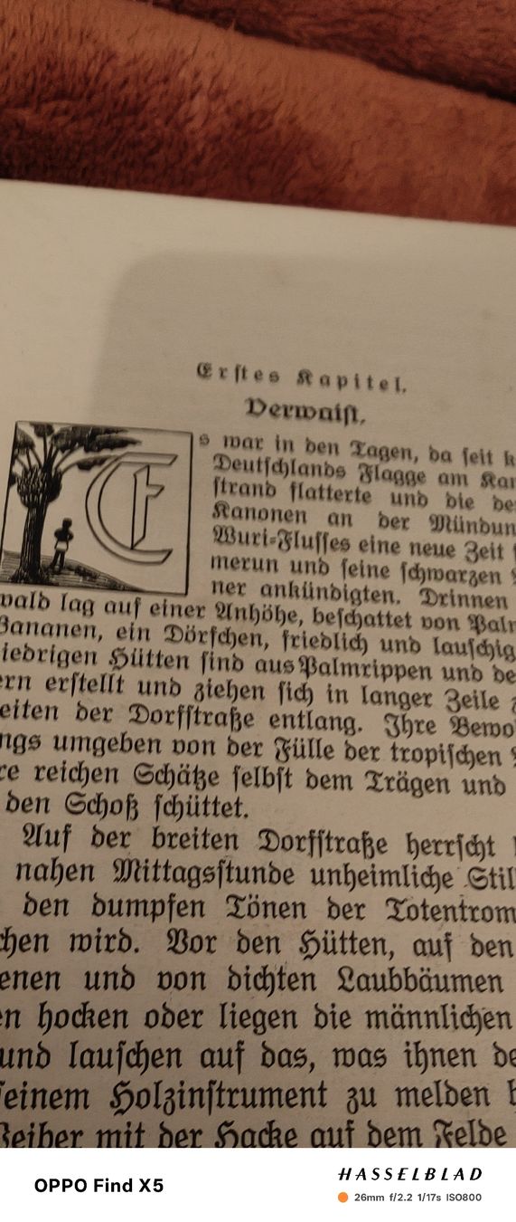 Libri: Der Neffe des Zauberers – Usato da Volken venduto da katz5 6