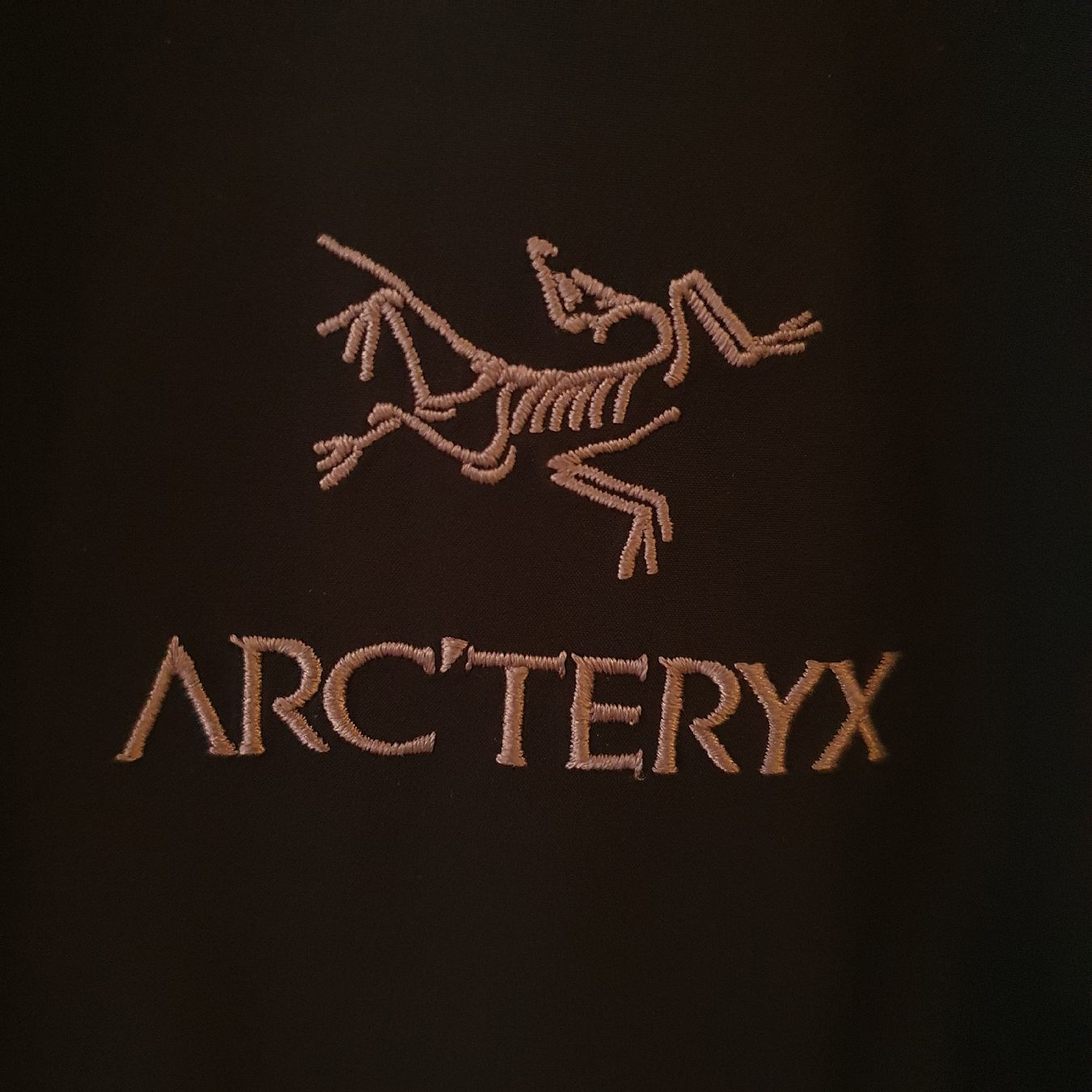 Arcteryx Giacche: Arcteryx Beta SL, GoreTex, Grösse XL, Navy – Usato da Bern venduto da dom_7xqs 4