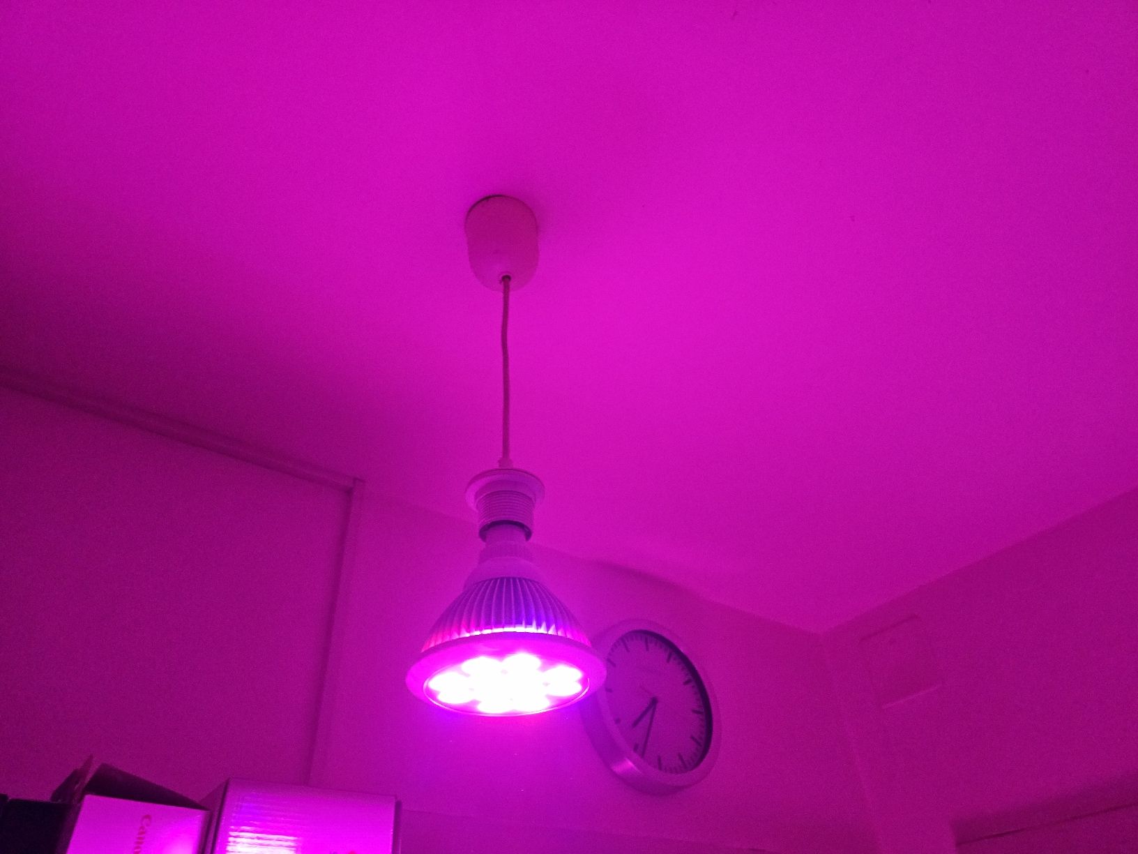 Lampen: LED Pflanzenlampe TaoTronics TT-GL20 E27 12W  – Neu (gemäss Beschreibung) aus Zürich von Finale7 6
