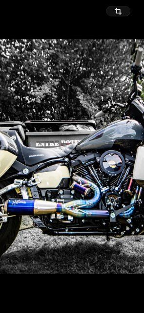 Harley-Davidson Auspuffanlagen: Ligne complete Titaine low Rider S / ST – Gebraucht aus Chavannes-de-Bogis von sth_yzd6 4