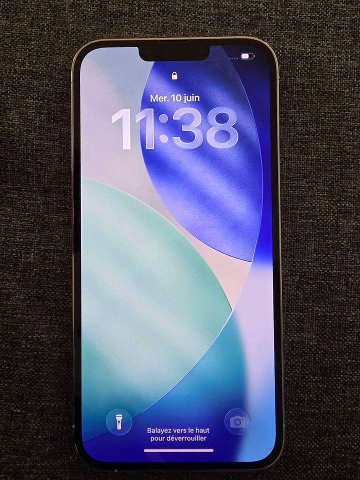 Apple Handys / Smartphones: iPhone 13 Pro Max 256 Go Argent – Gebraucht aus Meyrin von ipanch
