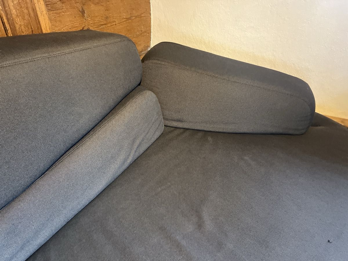 Divani: Designer-Sofa mosspink von Brühl – Usato da Wohlenschwil venduto da SmokyAnnie 1