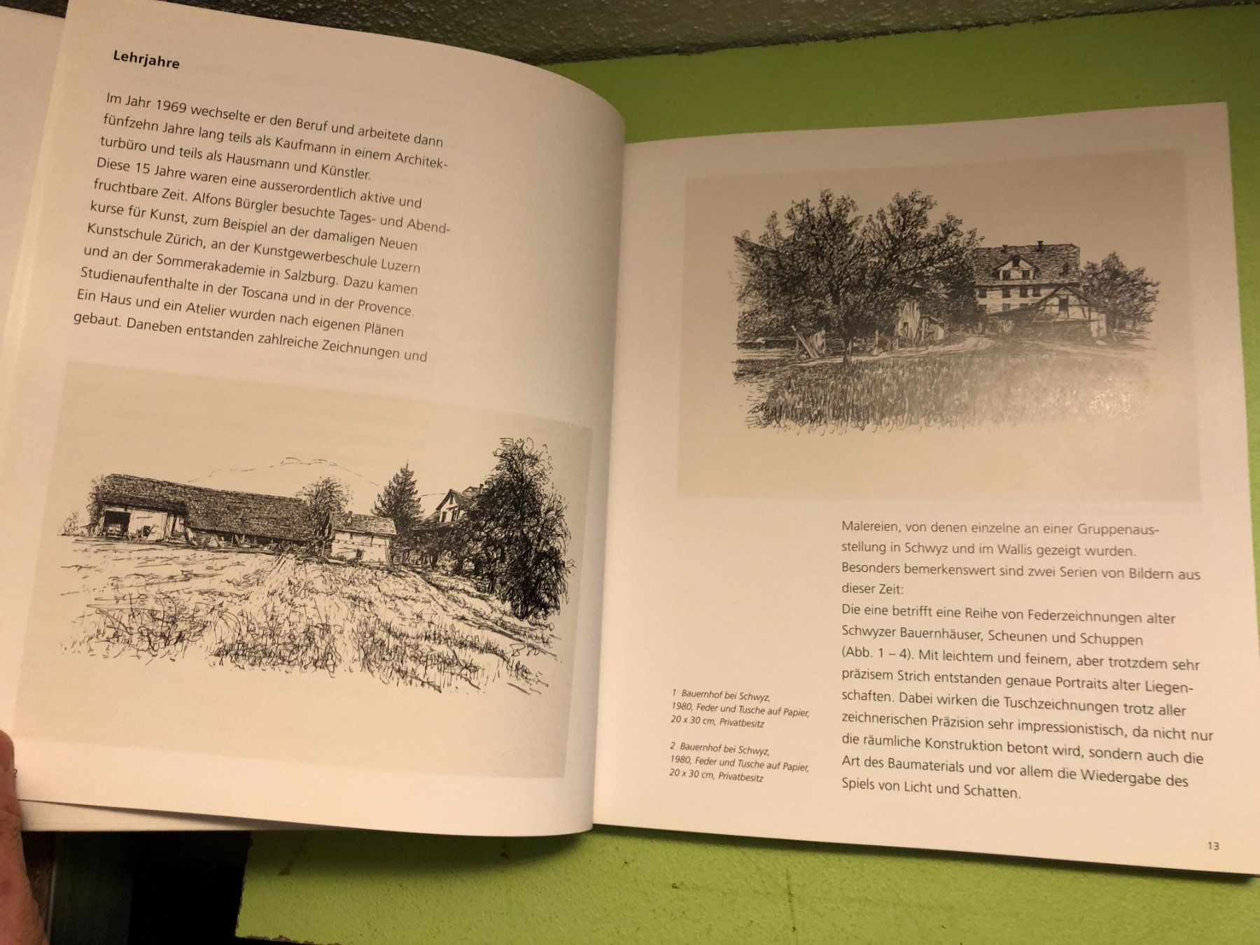 Libri: Walter Hintermann: Alfons Bürgler – Usato da Zürich venduto da allp 3