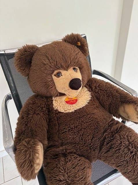 Steiff Giocattoli: Steiff Teddy Bär Molly XXL – Nuovo (secondo la descrizione) da Egg b. Zürich venduto da eve_h8pg 1
