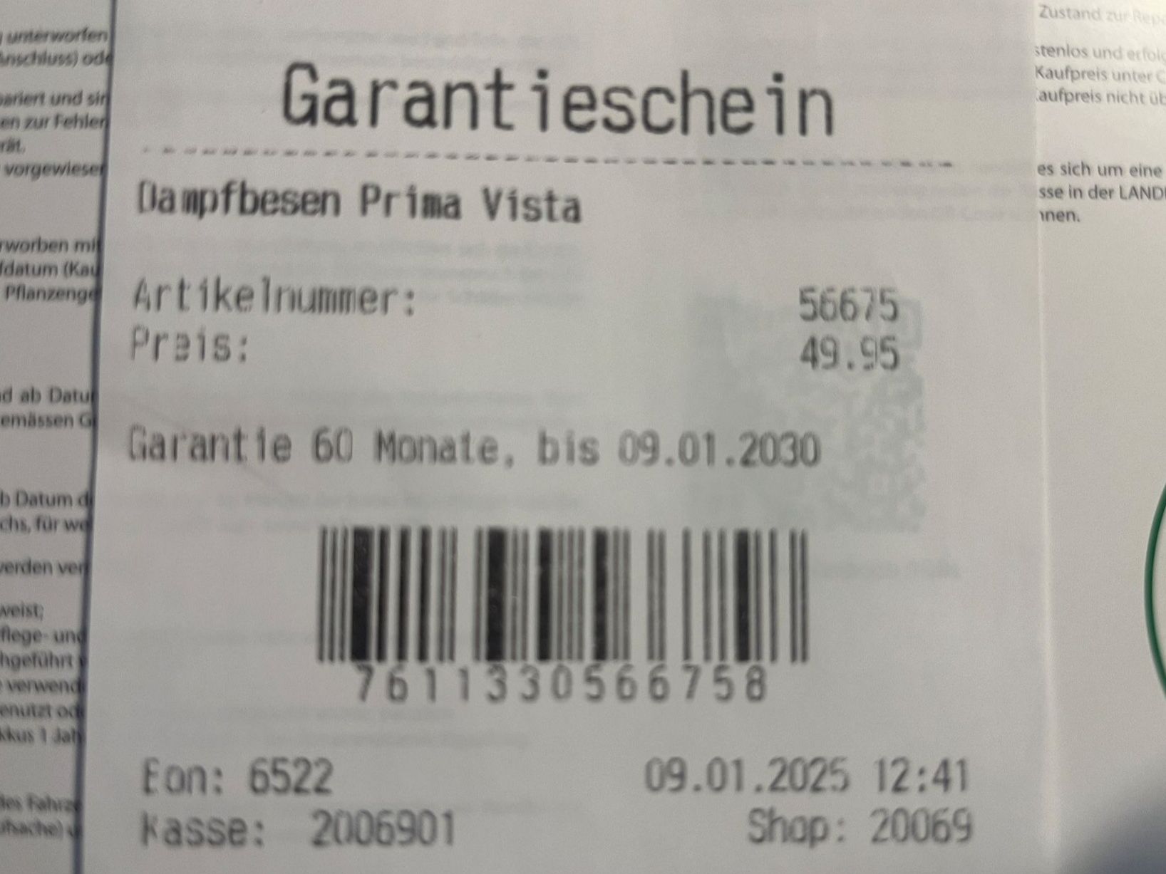 Pulitori a vapore: Dampfbesen mit laufender Garantie – Usato da Kandergrund venduto da ThoStre 3