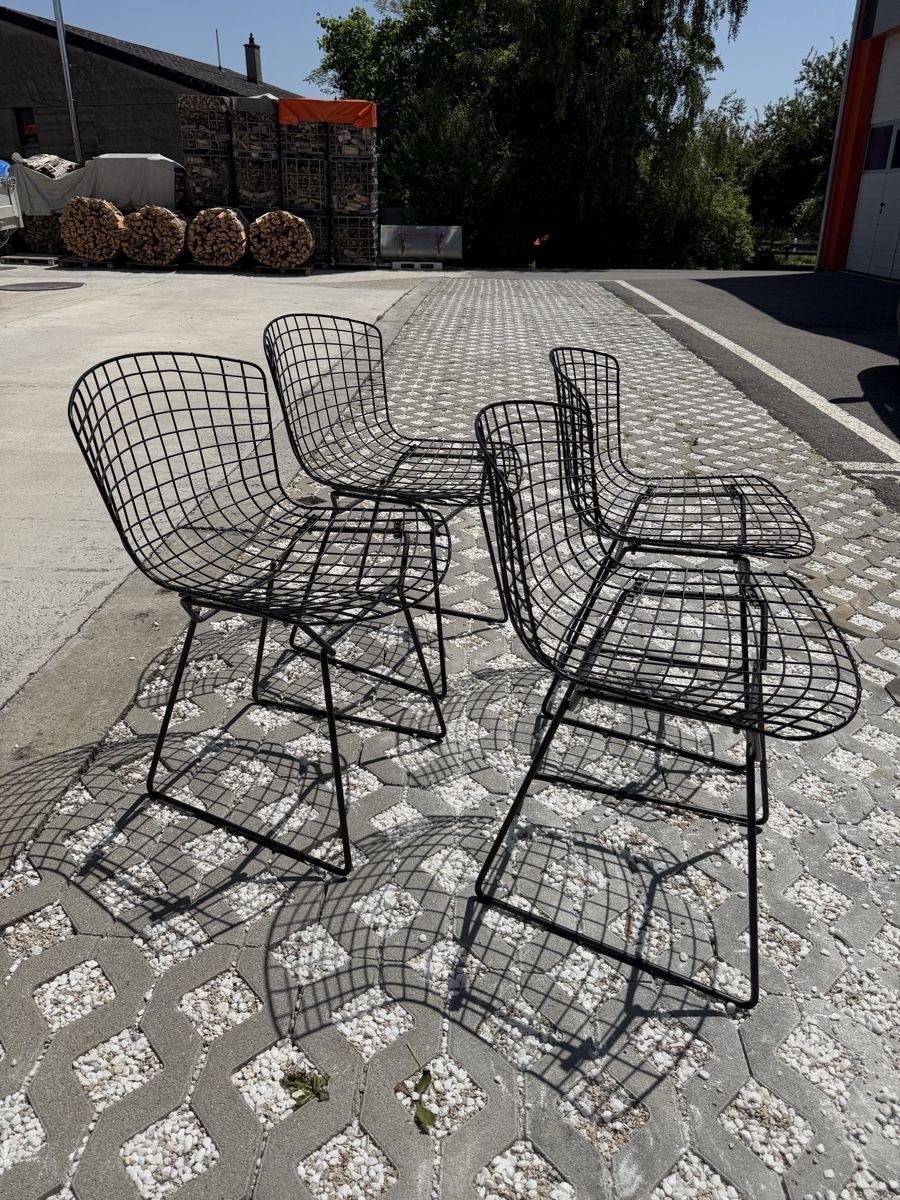 Knoll Sedie: Série de 4 chaises Harry Bertoia – Usato da Arnex-sur-Orbe venduto da Tutu1037