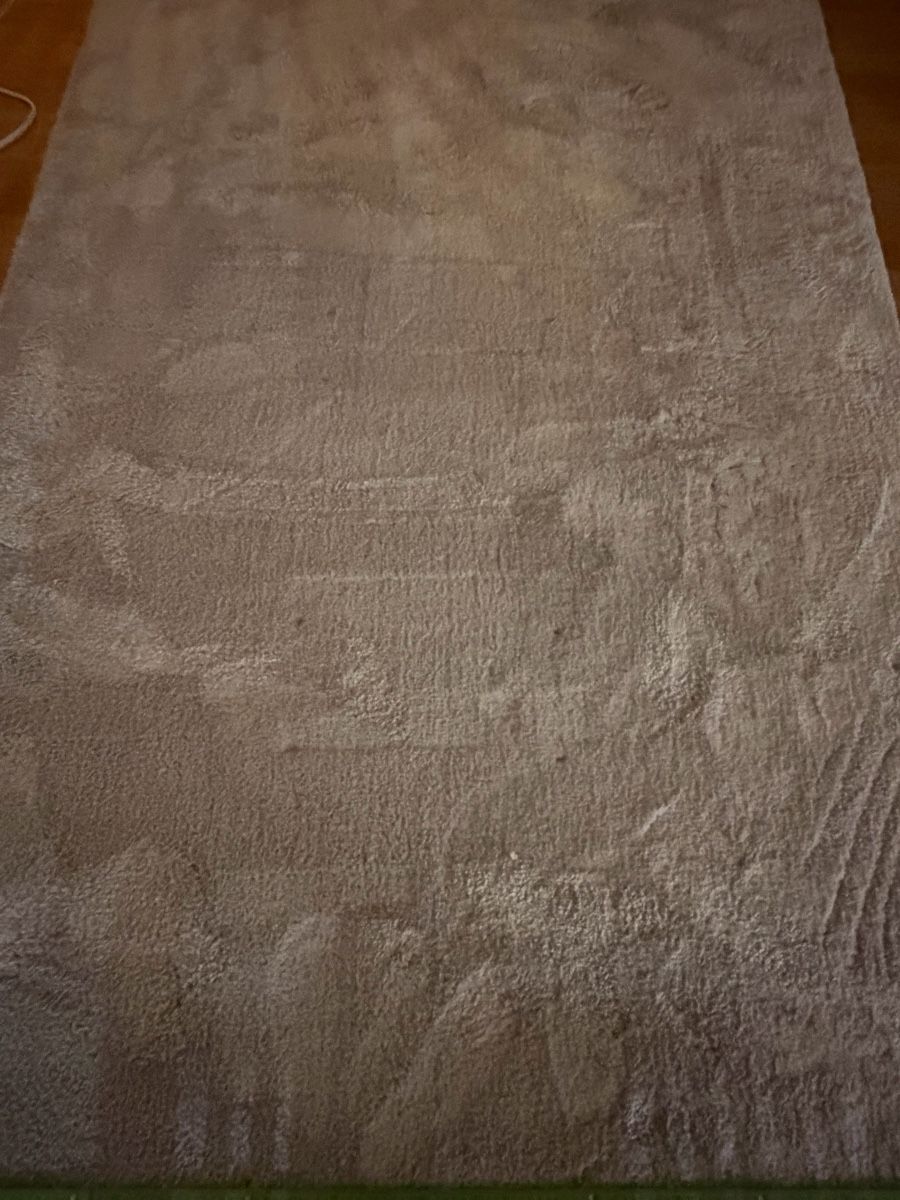 Tapis: Hochflor Teppich grau rechteckig – D'occasion à Bühler par kammera2002 2