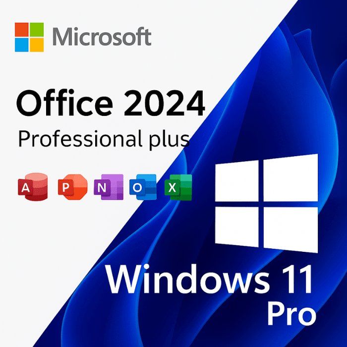 Microsoft Software: Windows 11 Pro & Office 2024 Pro Plus – Usato da Saignelégier venduto da KNM