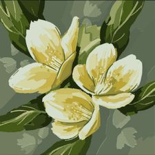 Profile image of alex.galli