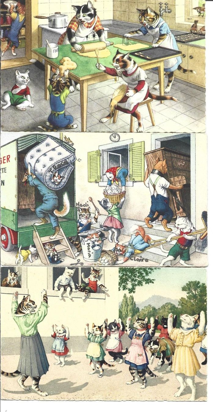 Cartoline postali: AK Katzen  Humor – Usato da Appenzell venduto da mai25