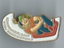 Sommerrodelbahn  Pin Bregenzerwald Rarität