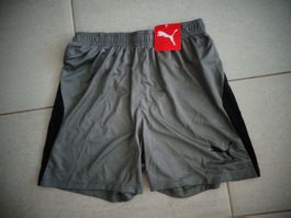 PUMA SPORT SHORTS GR.164  *NEU*