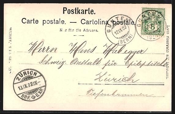 Ansichtskarten: AK Stockhorn, Panorama mit Dampfer, 1902 – Gebraucht aus Berlin von bartko-reher 1