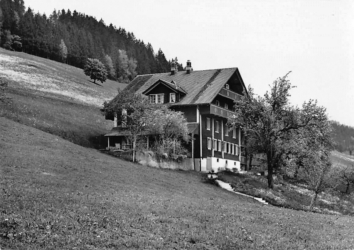 Cartoline postali: ALOSEN ZG 1966 – Usato da Winterthur venduto da SchatzchischtliWinti