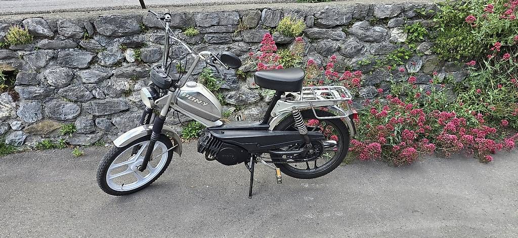 Ciclomotori: Pony 503 Gtx – Usato da Heiligkreuz (Mels) venduto da kaw_xn9c 3