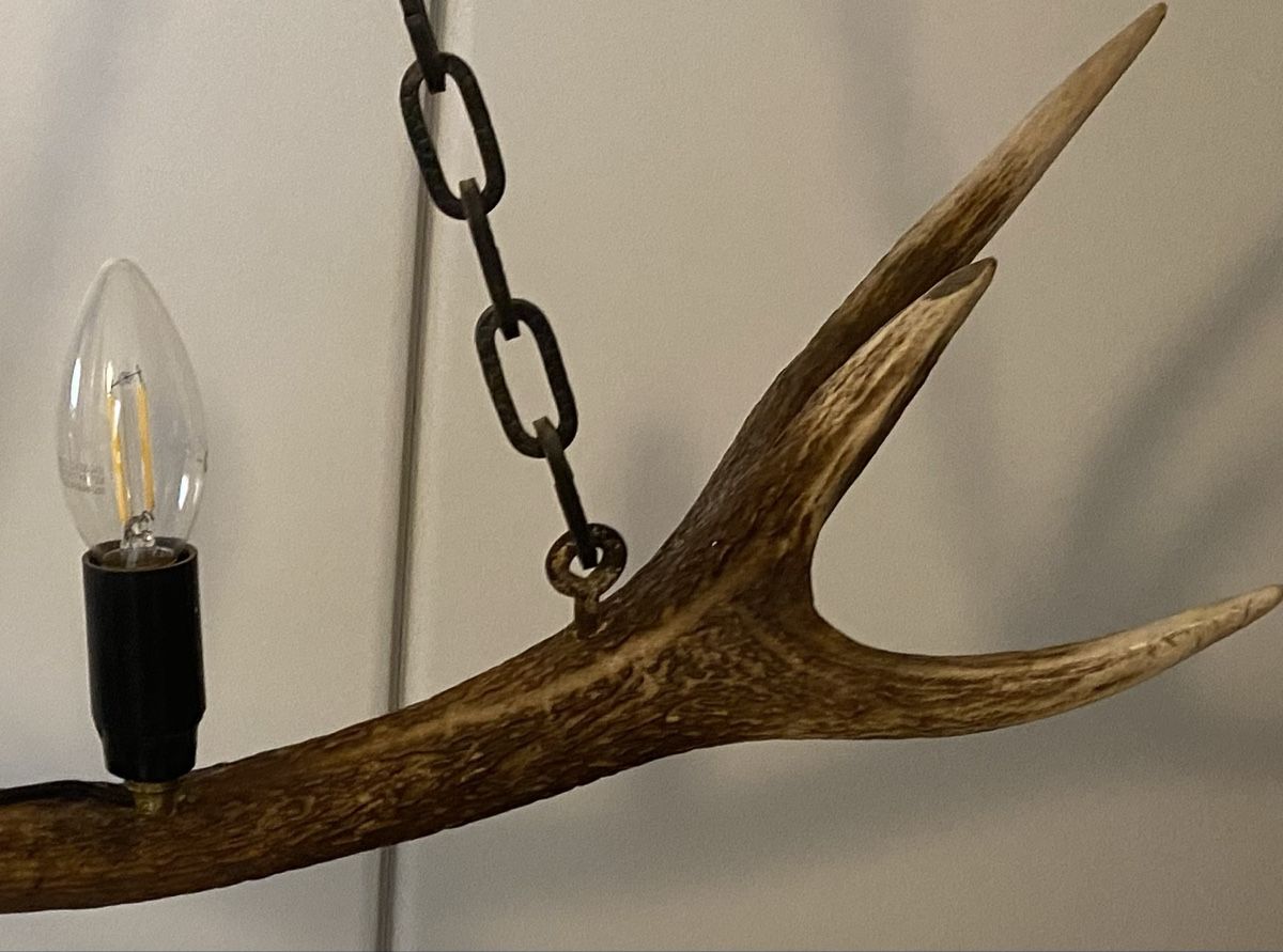 Lampadari & plafoniere: Pendelleuchte aus Hirschgeweih – Usato da Rheinfelden venduto da Tigerlilli 3