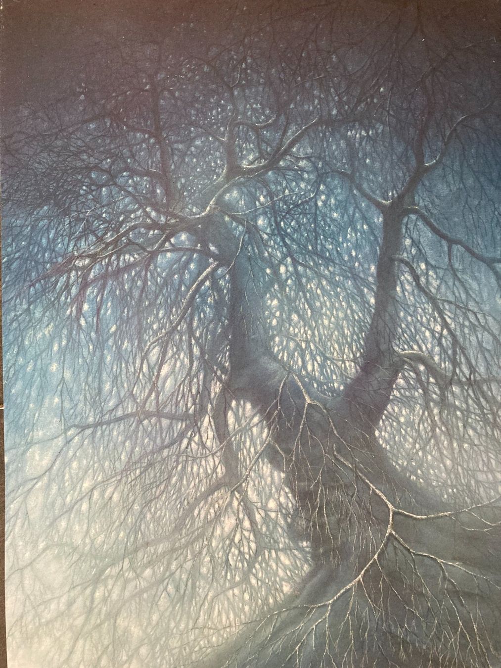 Foto & Immagini: FRIEDRICH  HECHELMANN   Kunstdruck  BAUM  Holzrahmen  / Glas – Usato da Subingen venduto da ArtBead 2