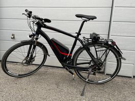 Fahrrad Flyer Vollblut 45km/h
