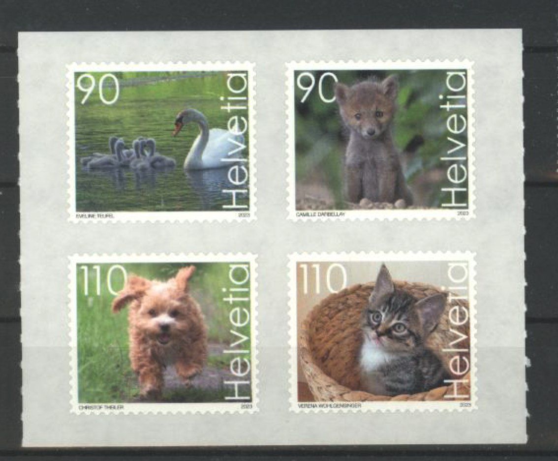 Tutti i francobolli: 2023, Sondermarken Süsse Tiere ** – Usato da Willisau venduto da Vollstempel